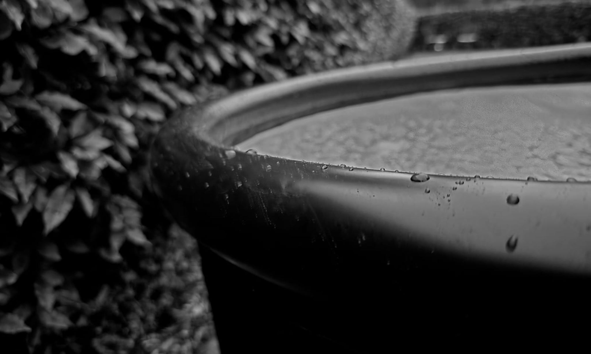 Ice Bath Rim